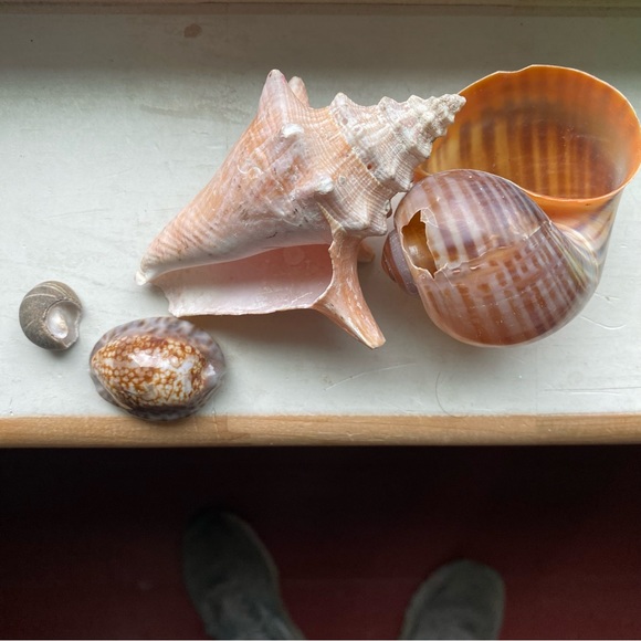 She’ll cluster - Picture 6 of 9